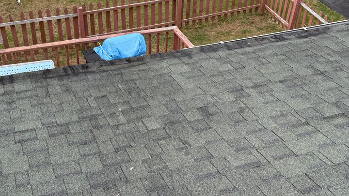 Help Evelyn Repair Her Leaking Roof campaign photo, 1 of 8