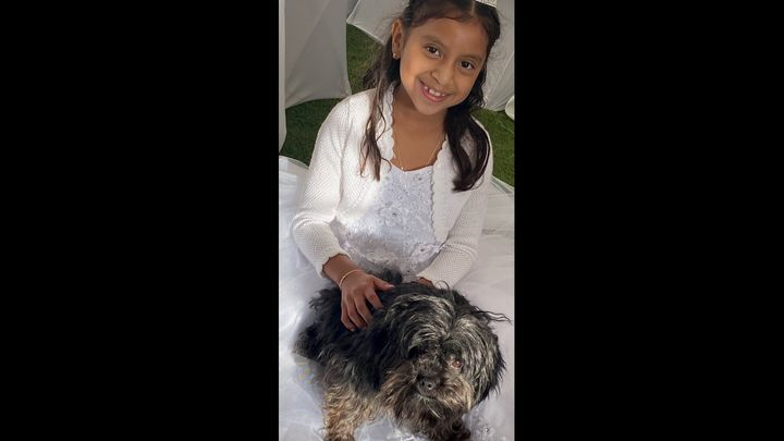 My Pet Rocky needs Urgent help! campaign photo, 1 of 2