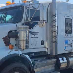 david  Phillip hawke