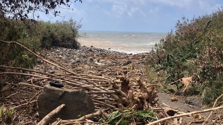 Koloa Landing Dive Site Clean-up