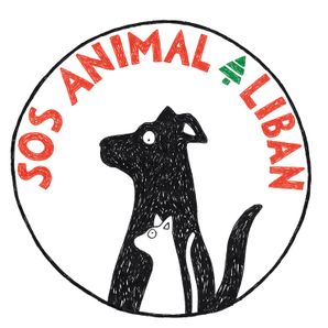 Association SOS ANIMAL LIBAN