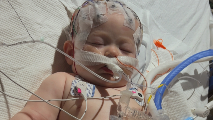 Support Kingsley’s Fight for Recovery campaign photo, 1 of 6