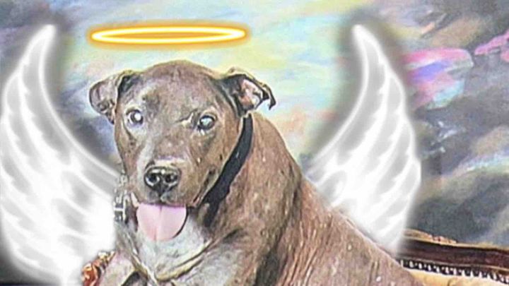 Jameson’s funeral and memorial bills campaign photo, 1 of 2