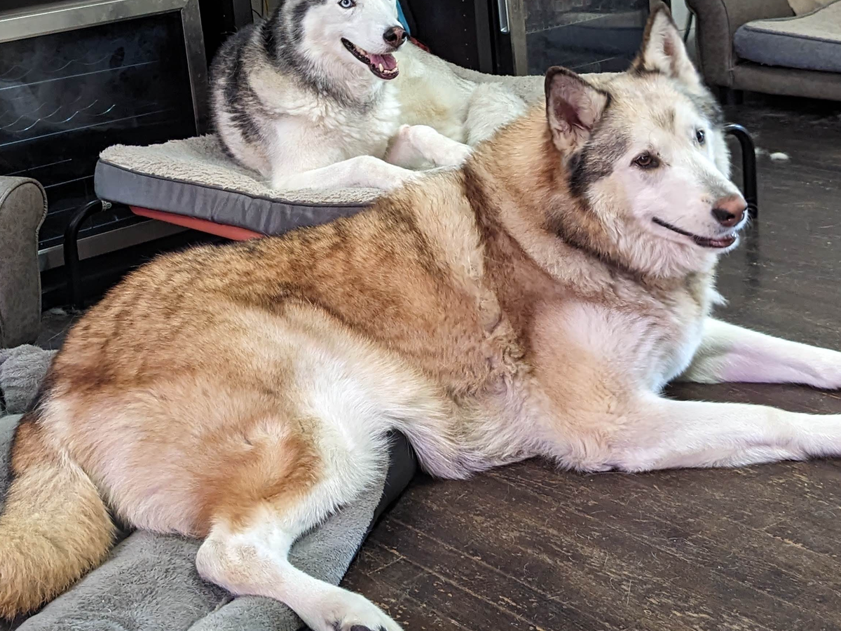 Light Yagami vs Erwin Smith: Clash of Titans in Anime, image size:1200x900