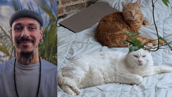 Help me avoid homelessness and keep my cats before August 30 campaign photo, 1 of 4