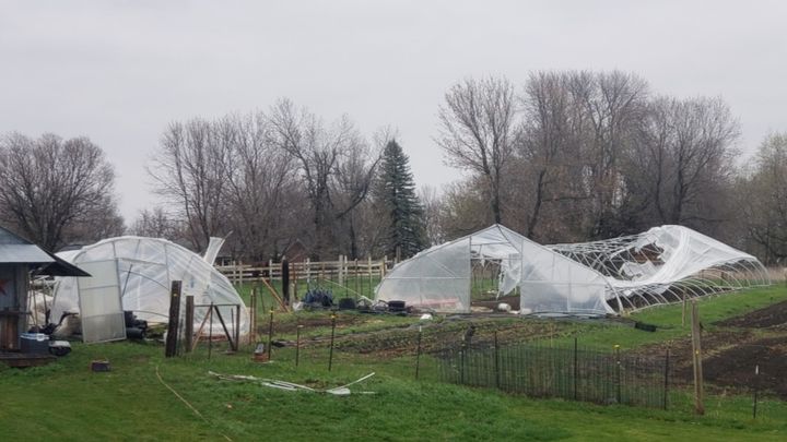 MNyou Youth Garden Veggie Farm Rebuild campaign photo, 1 of 2