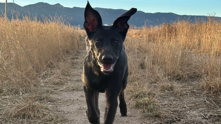 Support Jax's Recovery Journey campaign photo, 1 of 5
