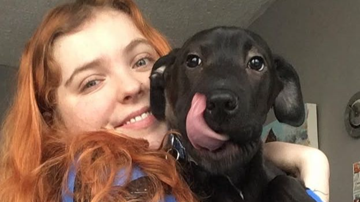 Help Lou's family survive campaign photo, 1 of 3