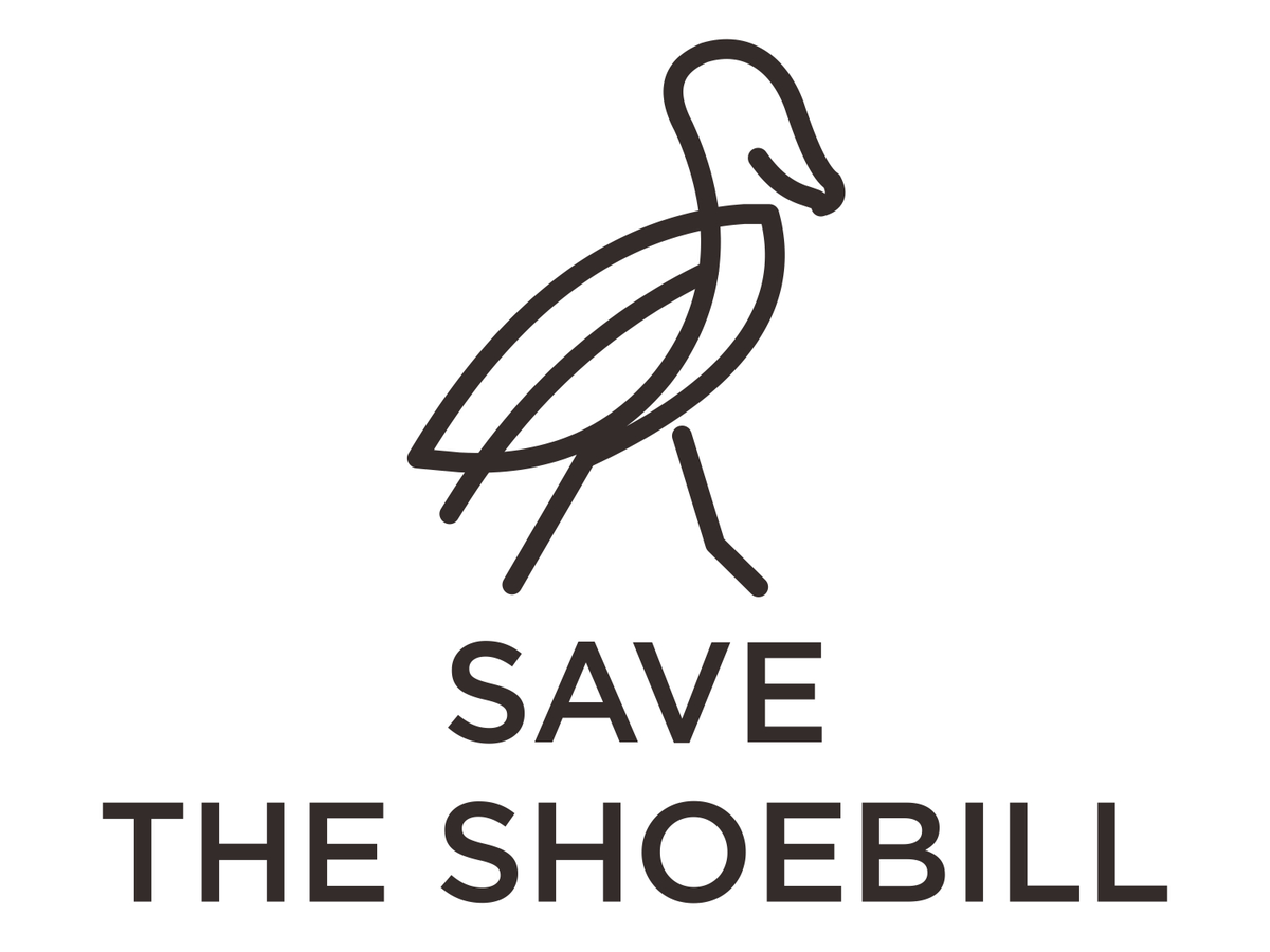 Fundraiser’s main image
