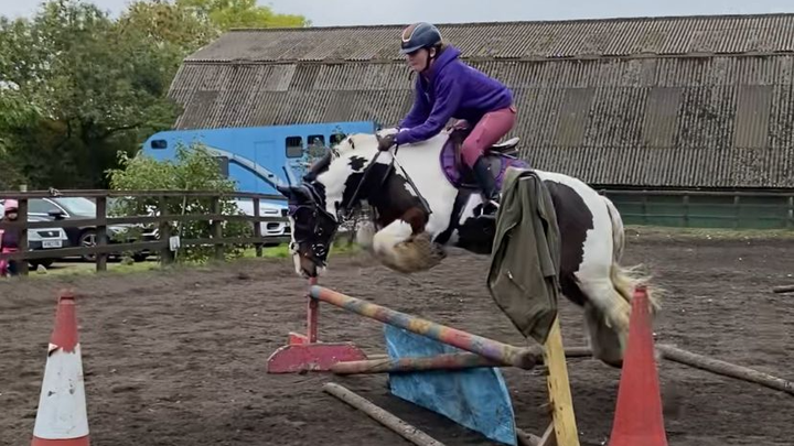 Replacement Jumps for our Riding School campaign photo, 1 of 8