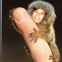Profile photo of Genevieve Cruz