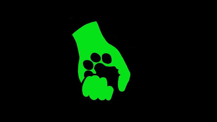 Help The Altered Dog Move Through Health Hiatus campaign photo, 1 of 8