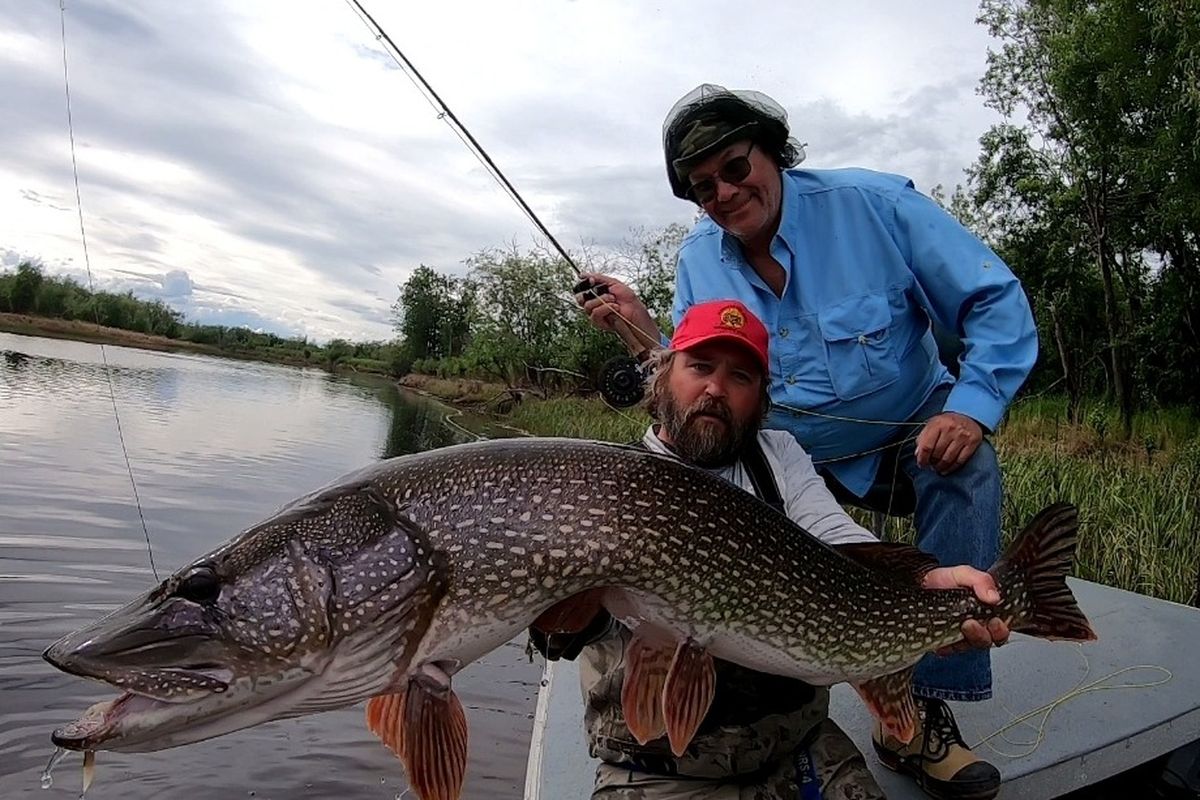 Midnight Sun Trophy Pike - Trophy Alaska Pike Fishing