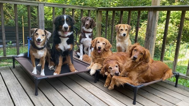 Main fundraiser photo