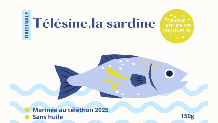 Télésine la sardine qui navigue pour le Téléthon campaign photo, 1 of 6