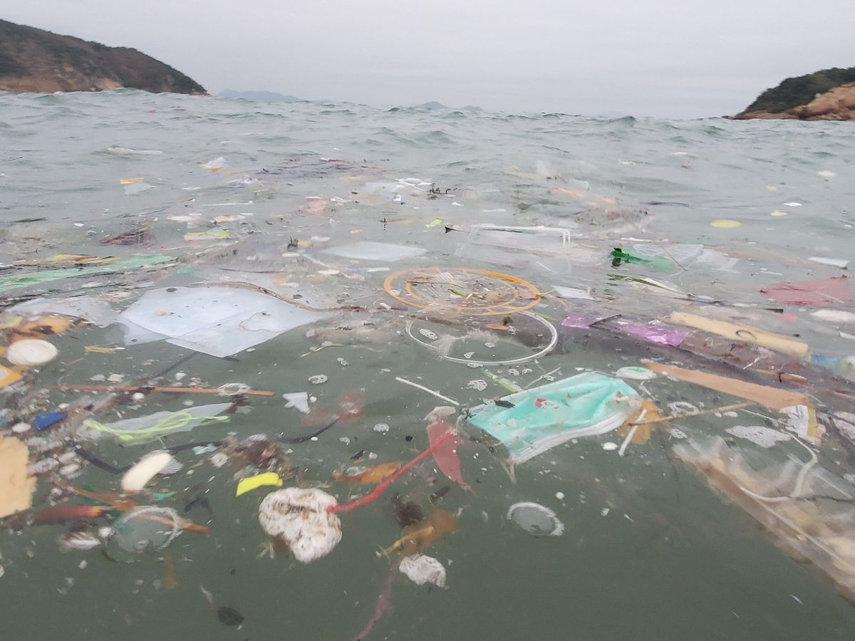 Save the Ocean from COVID-19 Pollution & Beyond campaign photo, 1 of 2