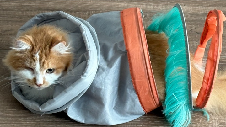 Support One Eye’s Life-Saving Procedure campaign photo, 1 of 6