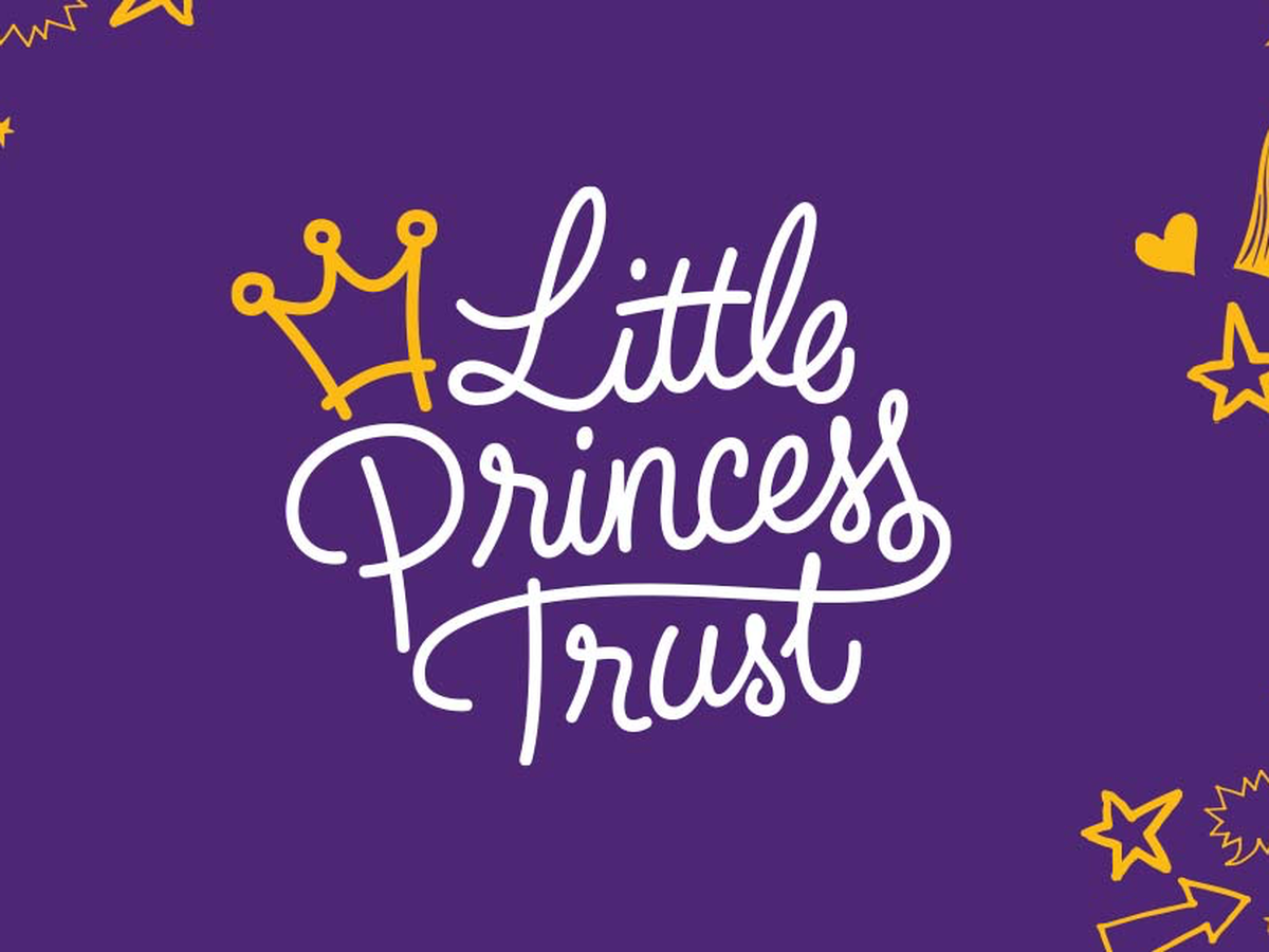 Fundraiser’s main image