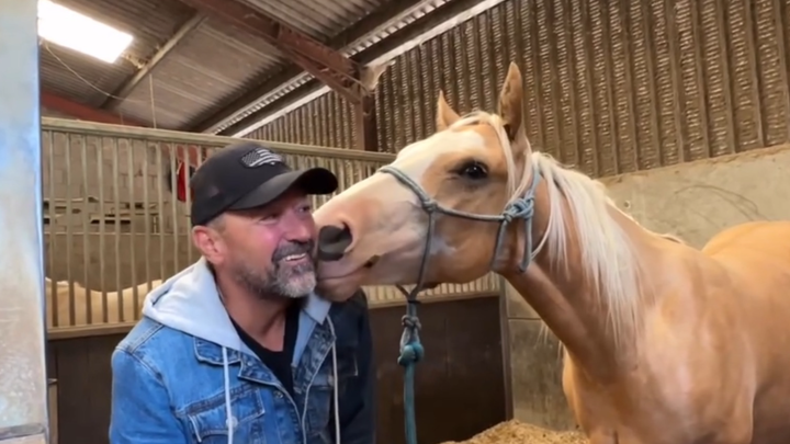 Help replace our stolen horse trailer