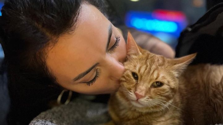 Selda Animal Rescue campaign photo, 1 of 3