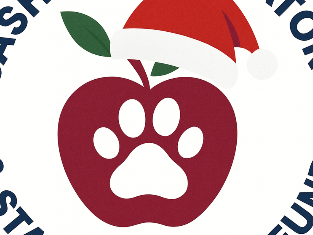 Fundraiser’s main image