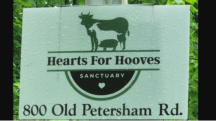Support Hearts For Hooves Animal Sanctuary campaign photo, 1 of 5