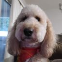 Profile photo of Paula Mayo
