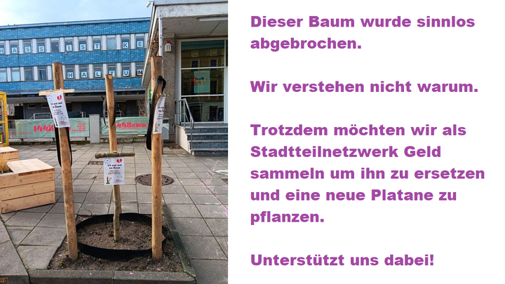 Main fundraiser photo