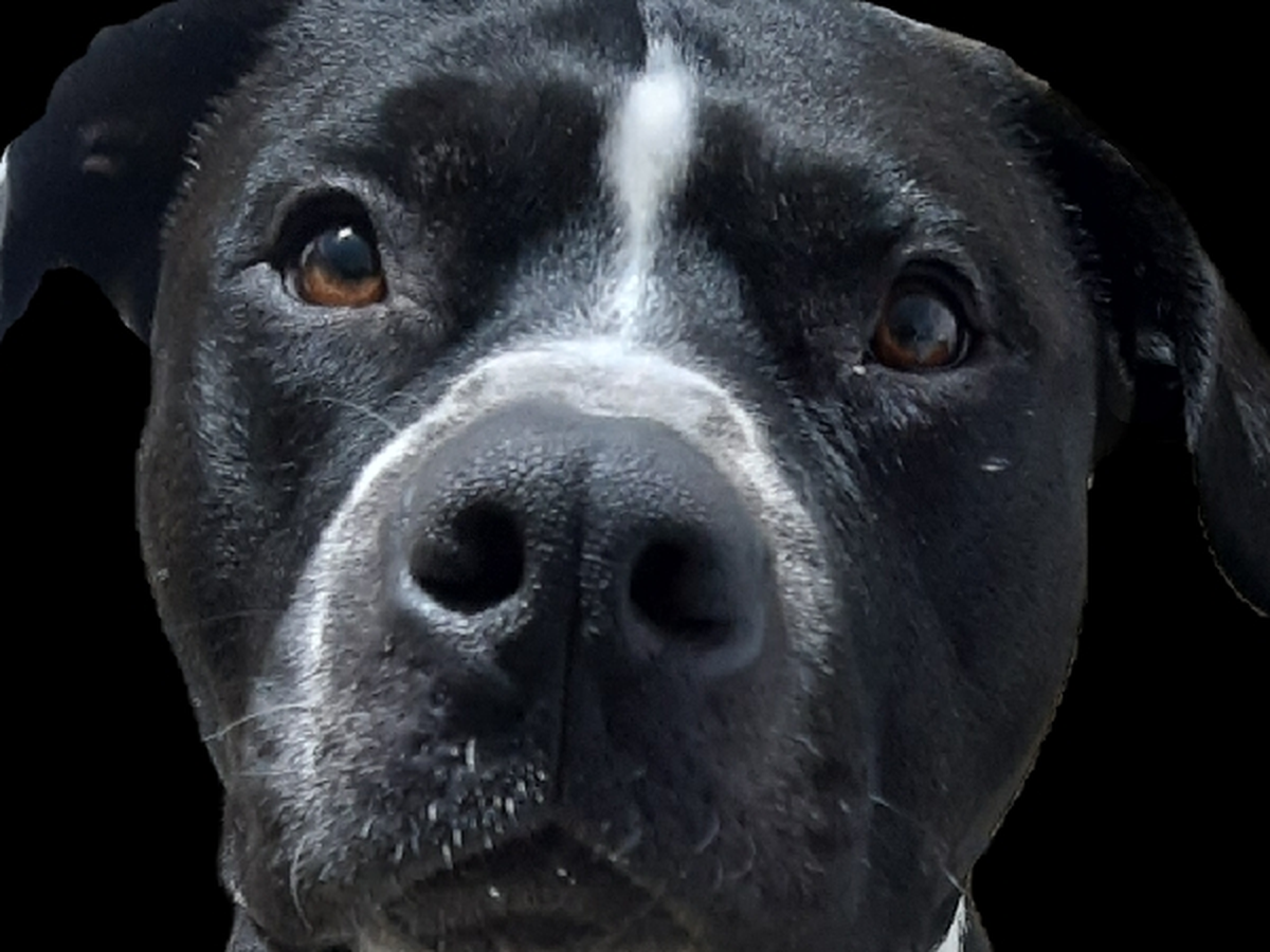 Fundraiser’s main image