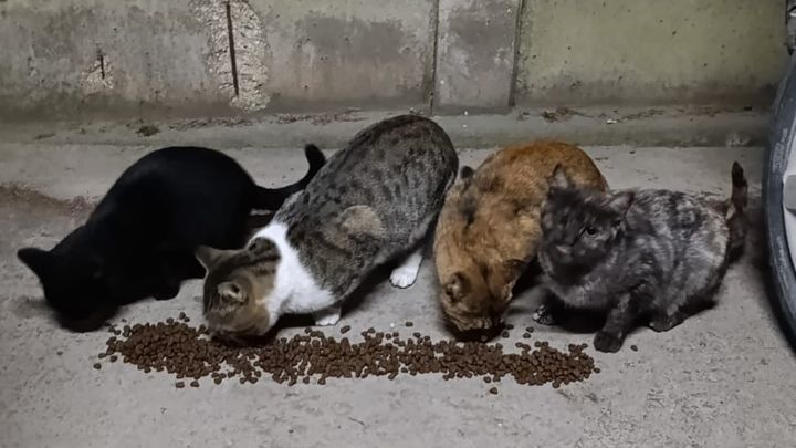 Foto principale della raccolta fondi