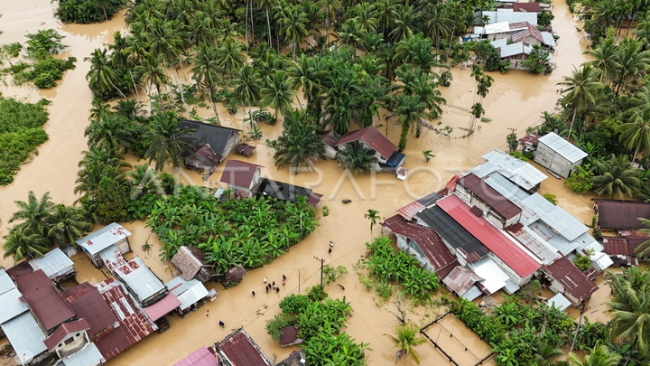 Help for Indonesia campaign photo, 1 of 4