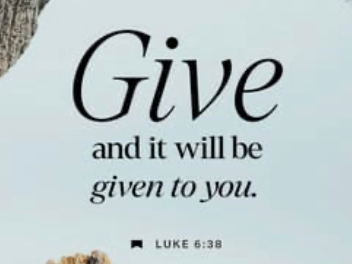 Fundraiser’s main image