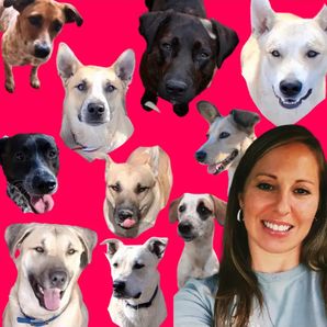 GoFundMe profile picture for @megan