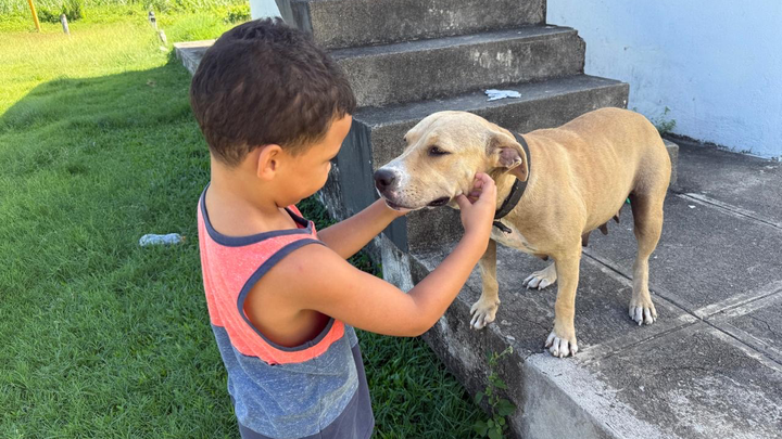 Build a Lifeline for Portland’s Street Dogs campaign photo, 1 of 8
