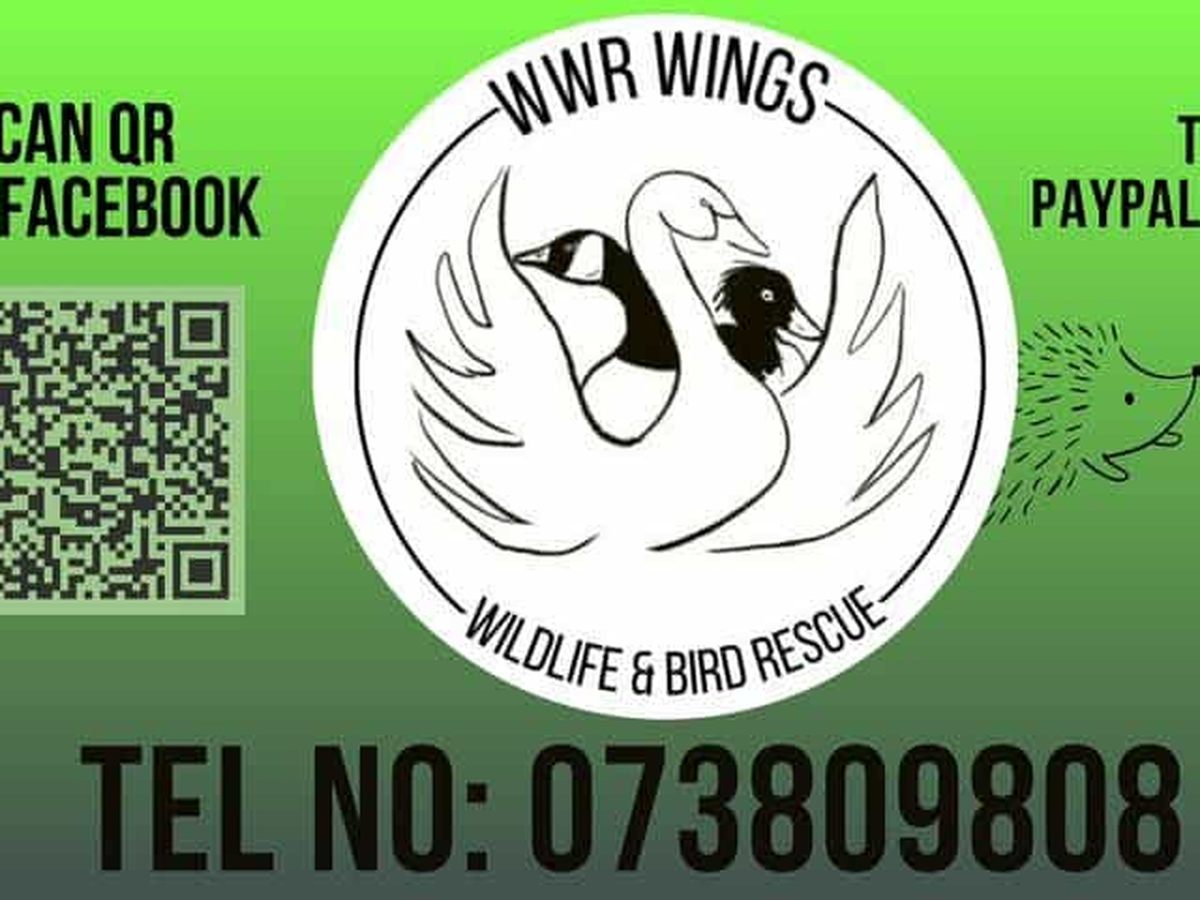 Fundraiser’s main image
