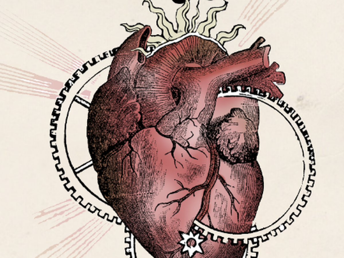 Fundraiser’s main image