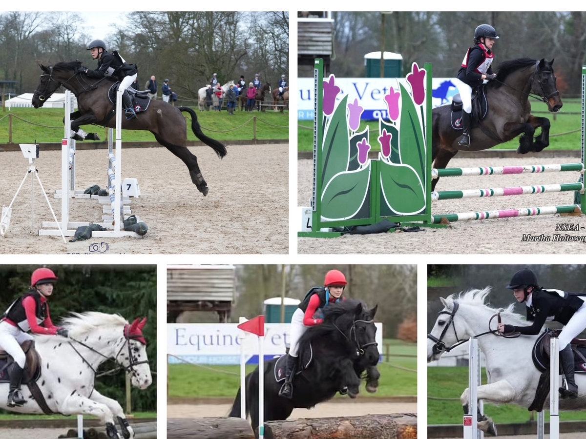 Ian Raggett Fundraiser by Ian Raggett : Help, Camborne School Equestrian team get ...