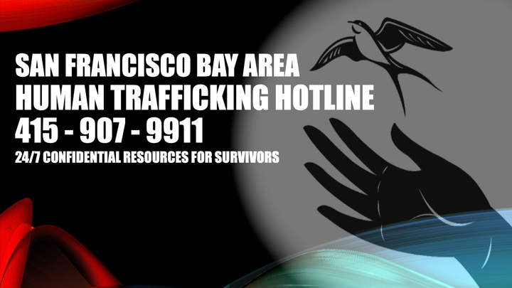 SFCAHT Student Alliance Supporting Human Trafficking Hotline campaign photo, 1 of 5