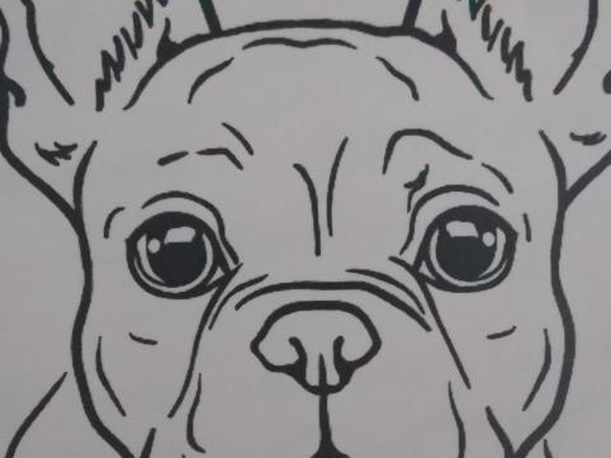 Fundraiser’s main image