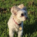 Profile photo of Amanda Reston