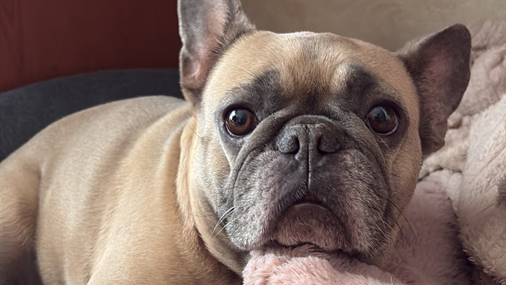 Chanel’s Story – Help for Cervical Disc Hernia Surgery campaign photo, 1 of 7