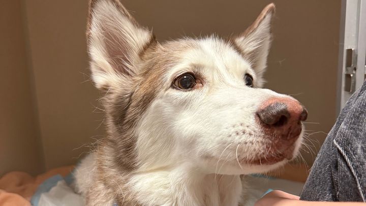 Support Yuna’s Emergency Medical Expenses