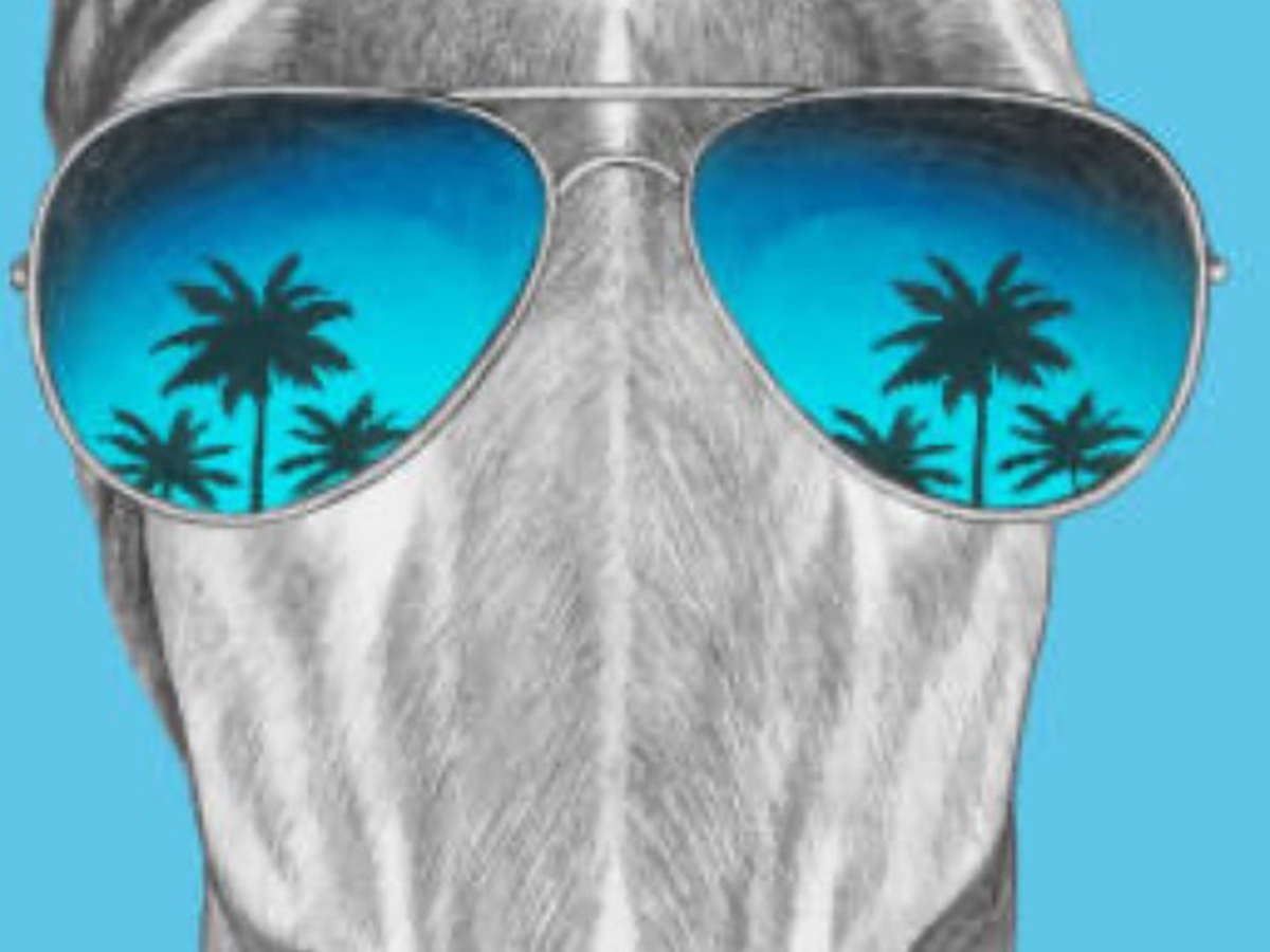 Sunnies for Skye campaign photo, 1 of 6