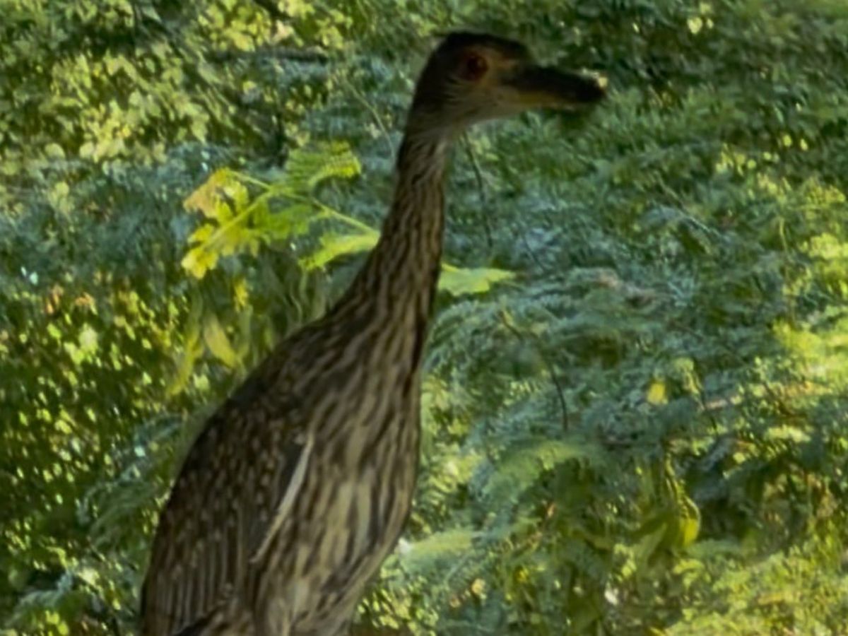 Fundraiser’s main image