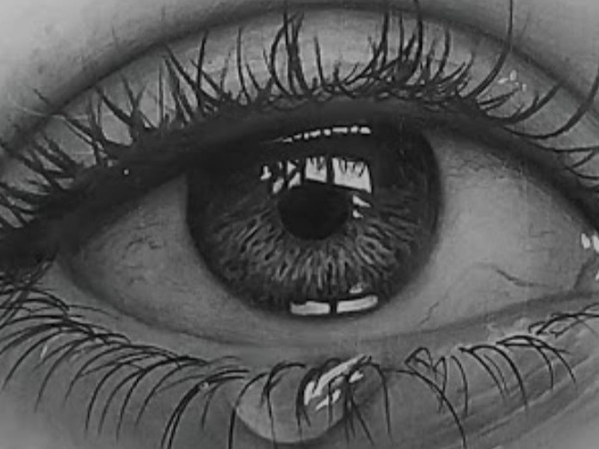 Fundraiser’s main image