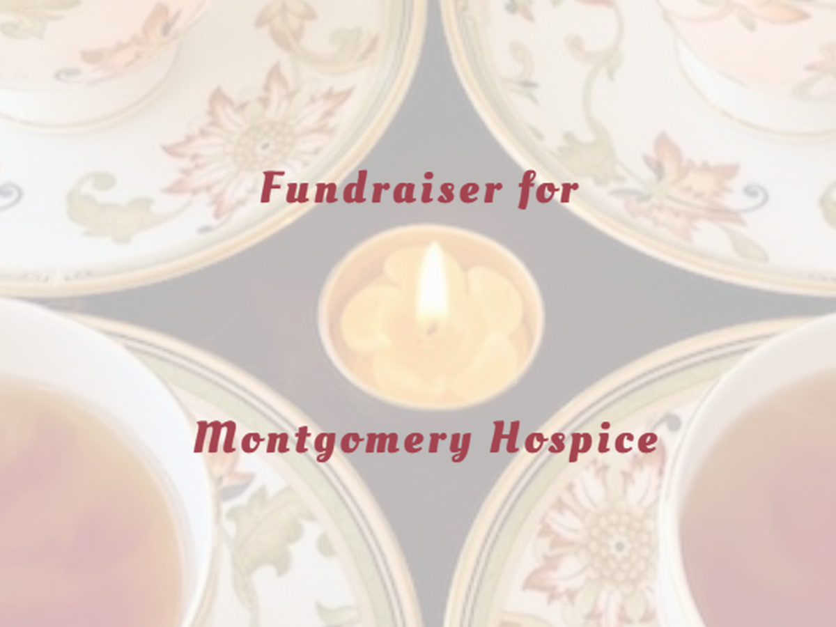 Fundraiser’s main image