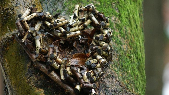 Hauptbild des Spendenaufrufs