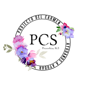 Proyecto Del Carmen