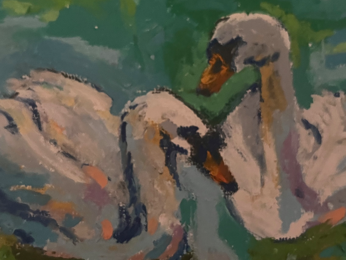 Fundraiser’s main image