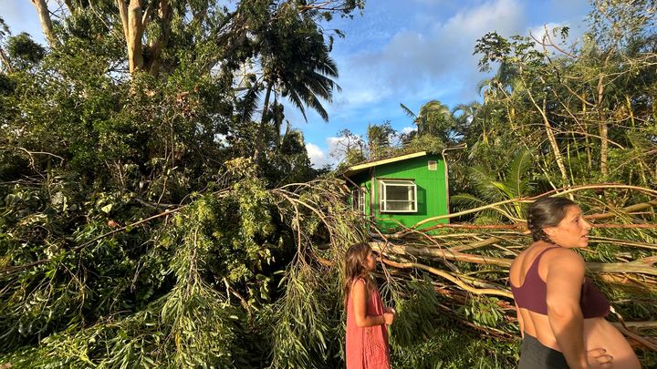 Help Wall Ohana Recover Farm After Lowell campaign photo, 1 of 8